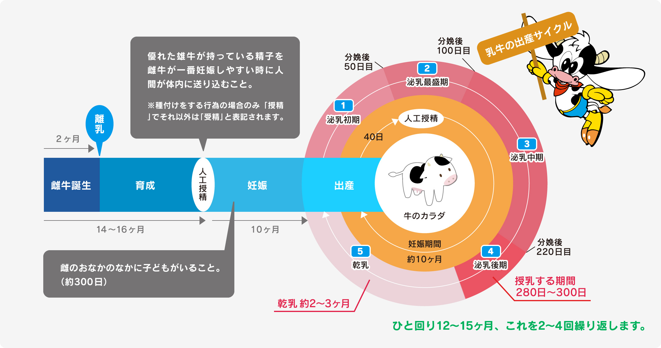 種付け 一 年 後